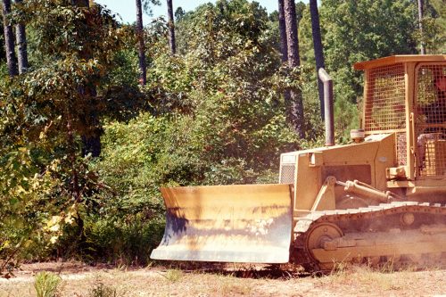 land-clearing